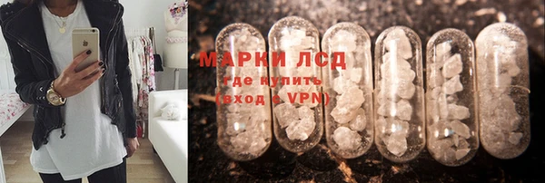 СК Аркадак